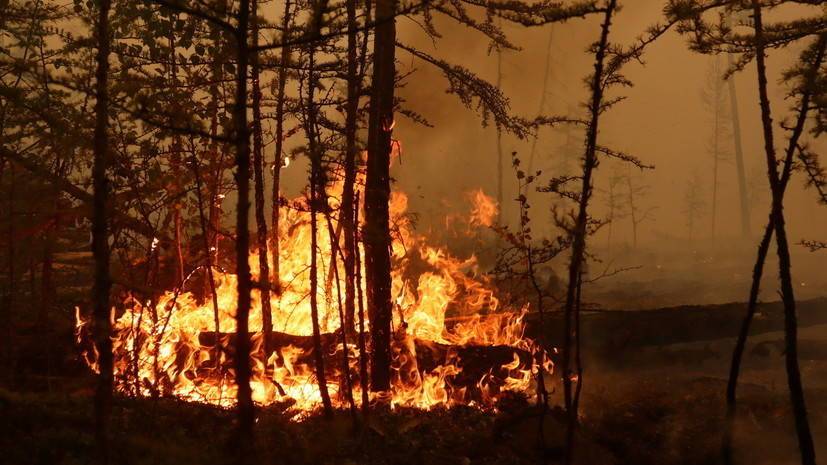 В Башкирии за сутки ликвидировали семь очагов природных пожаров
