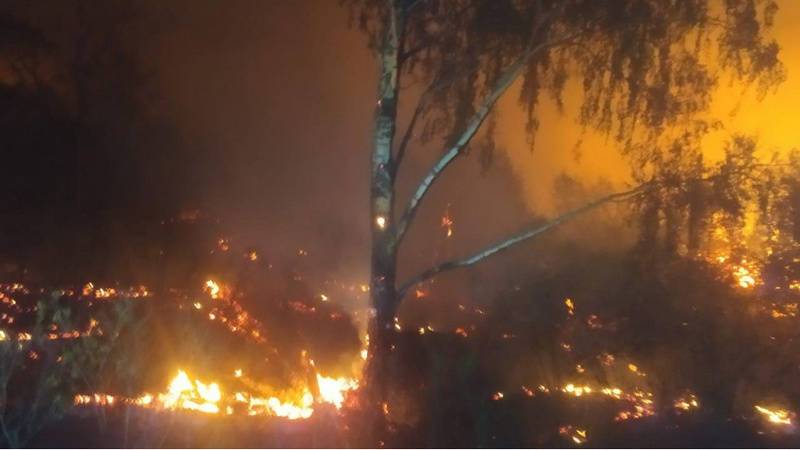Глава района в Башкирии назвал ситуацию с лесными пожарами тяжёлой