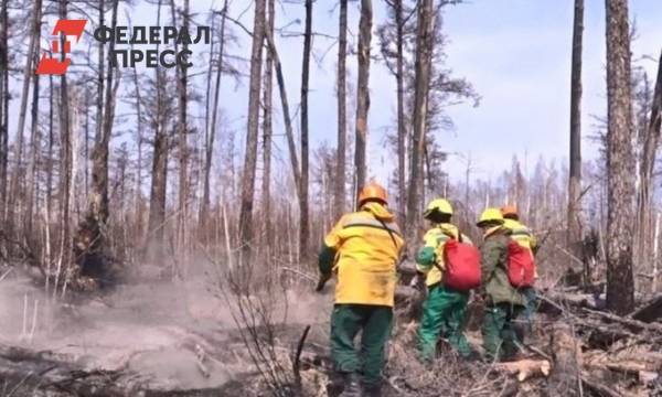 В тюменских лесах догорают 16 пожаров