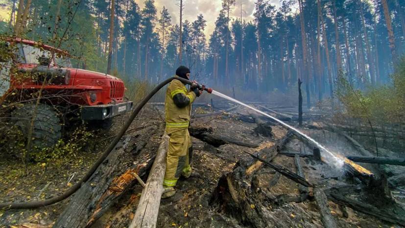 В МЧС заявили о локализации пожара в лесничестве рядом с мордовским заповедником