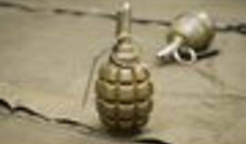 В новосибирском аэропорту "Толмачево" нашли муляж гранаты
