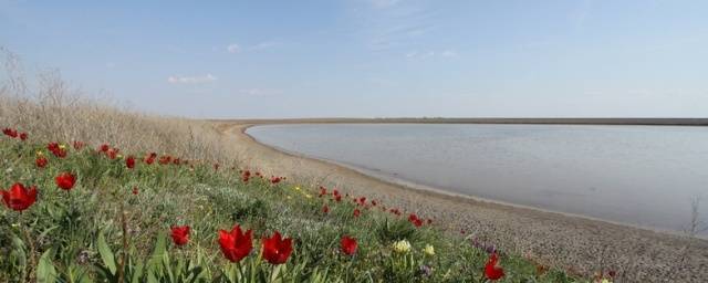 В последние выходные лета в Ростовской области ожидается жара до +37 °C