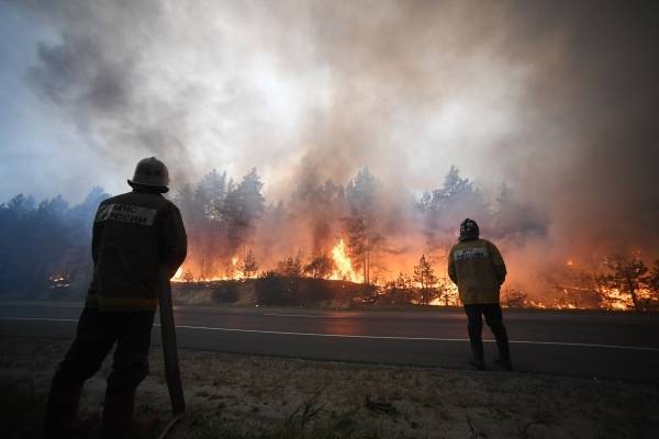 В WWF России спрогнозировали рекорд по общей площади лесных пожаров в России в этом году