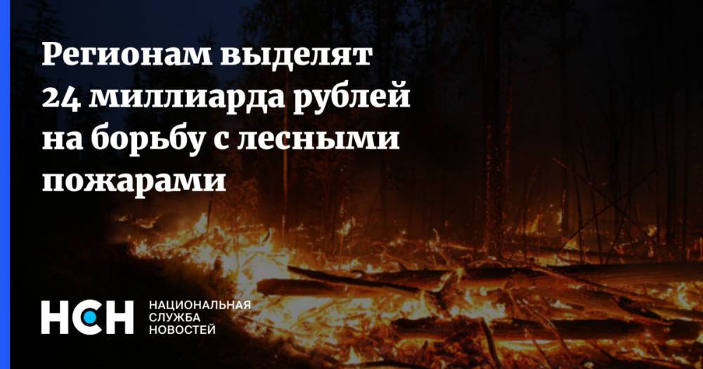 Регионам выделят 24 миллиарда рублей на борьбу с лесными пожарами