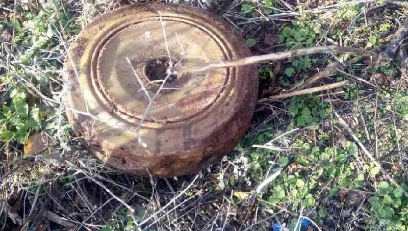 В Смоленской области нашли противотанковую мину
