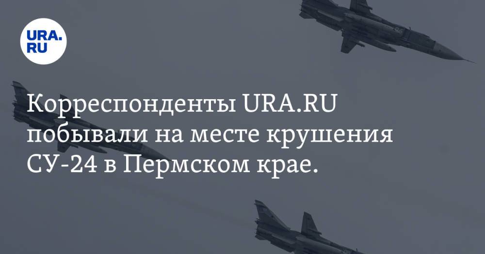 Корреспонденты URA.RU побывали на месте крушения СУ-24 в Пермском крае. Фото