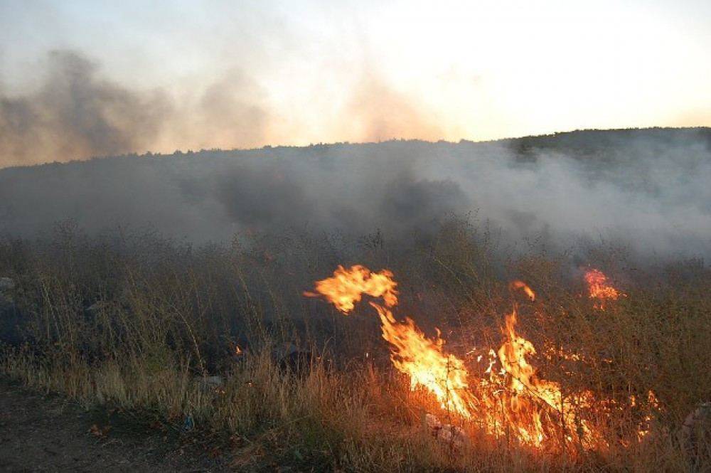 Пожар на территории Гызылагаджского заповедника потушен