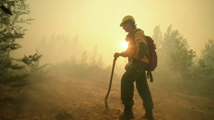 В МЧС рассказали о ситуации с лесными пожарами в Башкирии