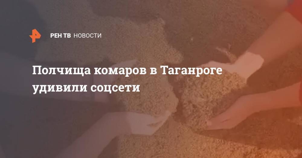 Полчища комаров в Таганроге удивили соцсети
