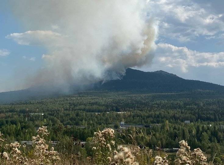 МЧС Башкирии назвало количество действующих очагов лесных пожаров