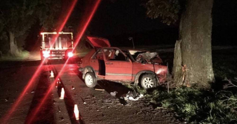 В Правдинском районе водитель легковушки погиб при столкновении с деревом