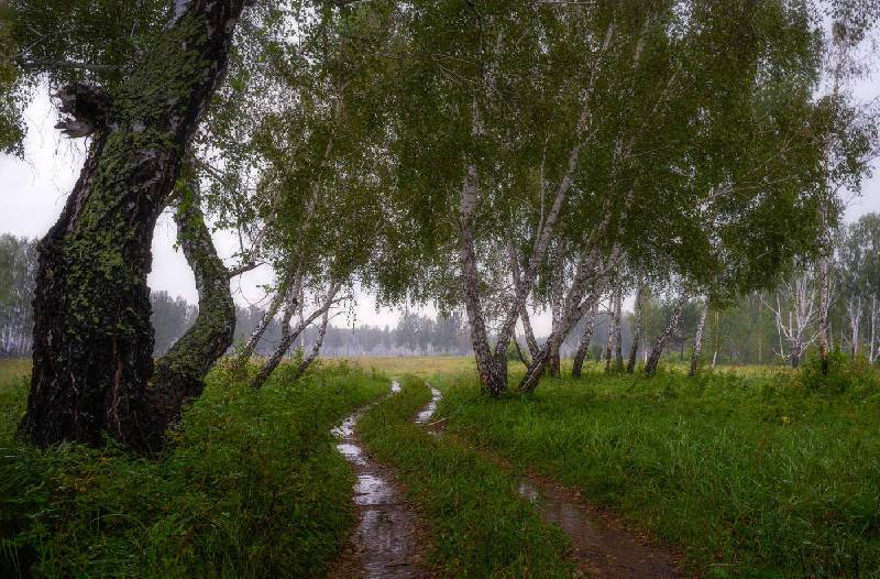 Насколько дождливо будет в Смоленской области в понедельник