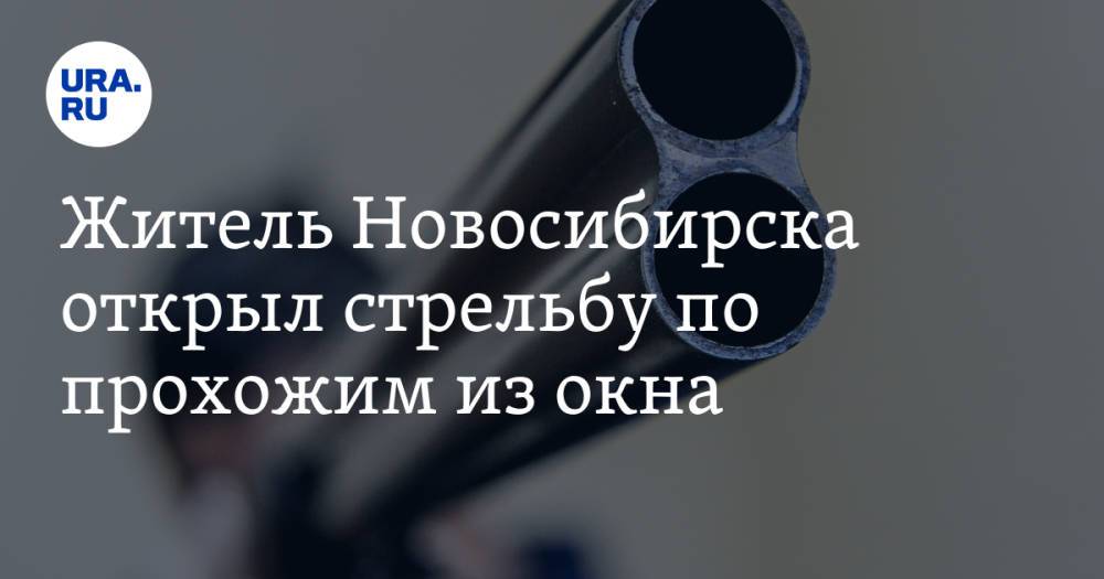 Житель Новосибирска открыл стрельбу по прохожим из окна