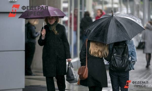 Петербуржцев предупредили о проливных дождях и штормовом ветре