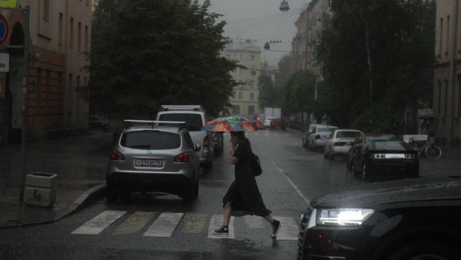 Две трети месячной нормы осадков выпало в Петербурге за 12 часов