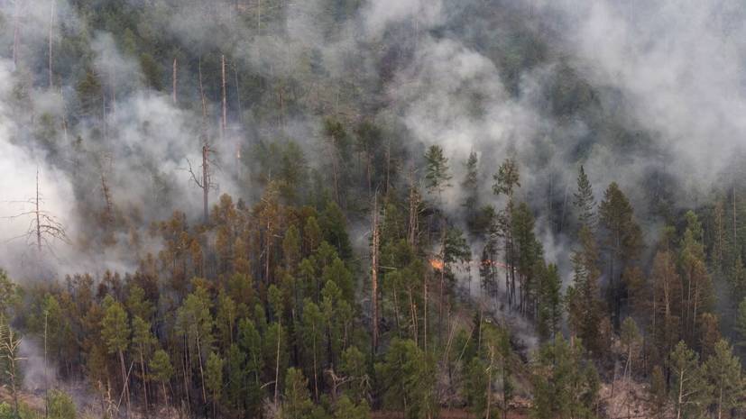 Минобороны направило дополнительные силы для борьбы с лесными пожарами в Якутии