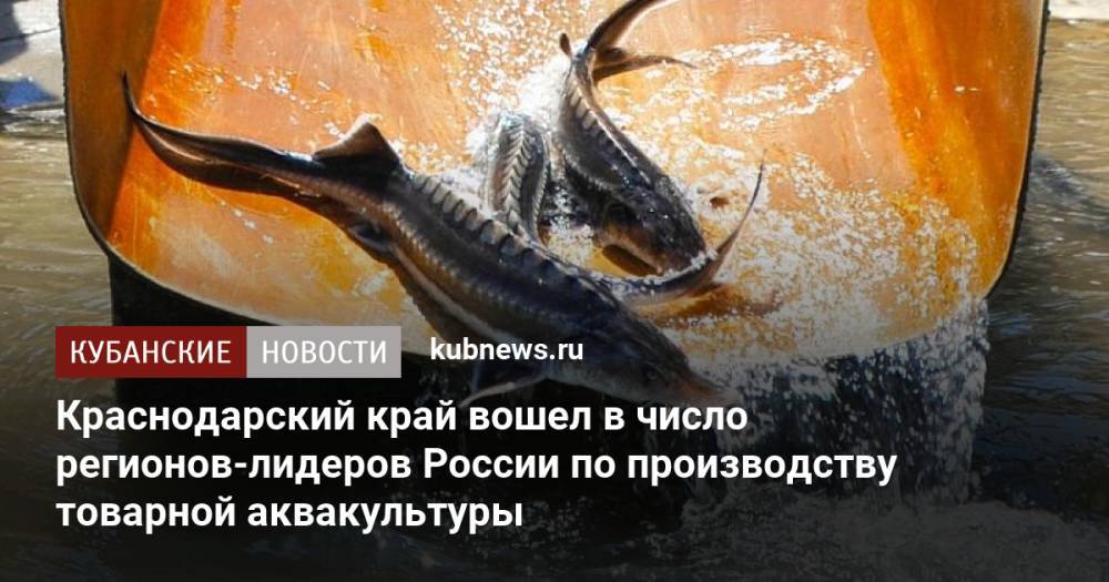 Краснодарский край вошел в число регионов-лидеров России по производству товарной аквакультуры