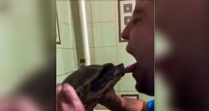 Мужчина поцеловал черепаху, но не тут-то было. Друзья все сняли на камеру