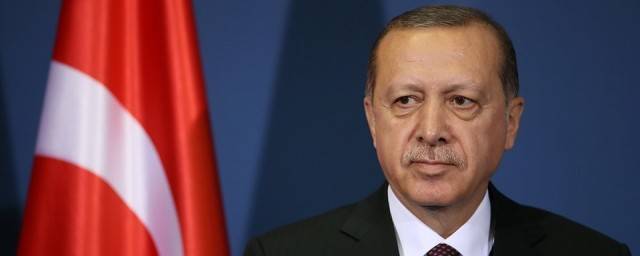 Эрдоган выразил благодарность Путину за помощь в борьбе с лесными пожарами в Турции