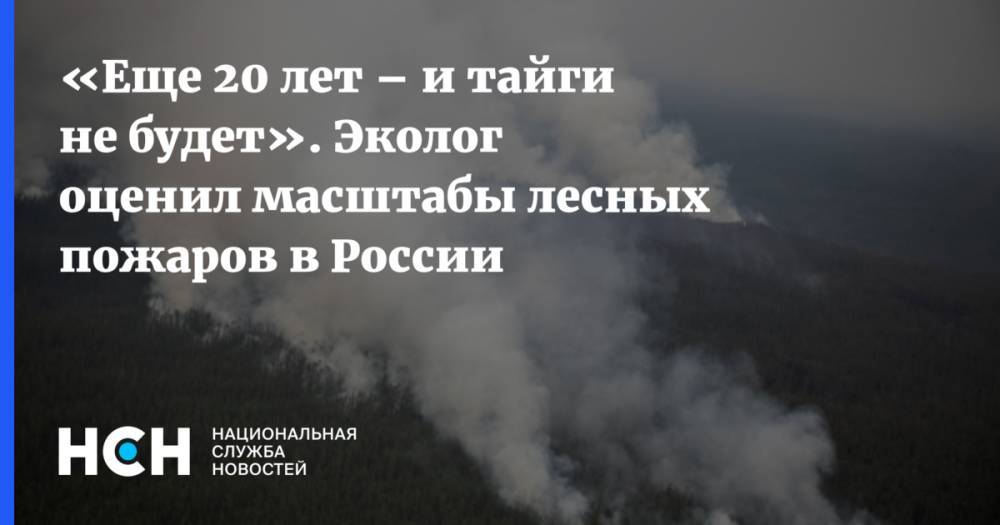 «Еще 20 лет – и тайги не будет». Эколог оценил масштабы лесных пожаров в России