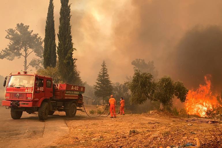 Как обстоит ситуация с лесными пожарами в Турции на 3 августа 2021 года