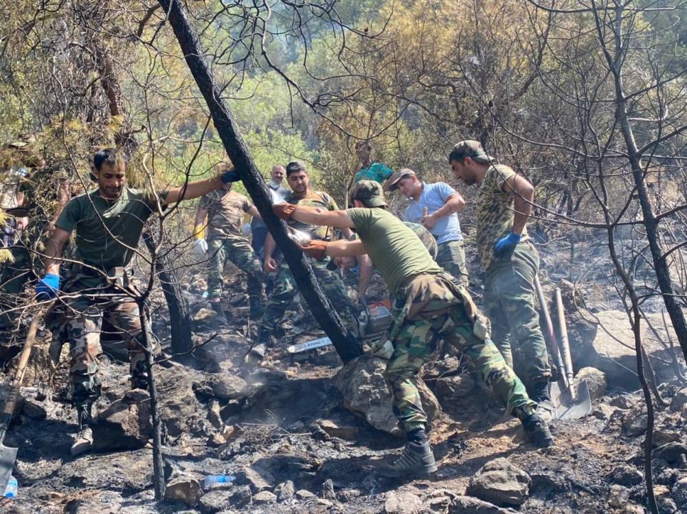 Новые кадры тушения лесных пожаров в Турции азербайджанскими пожарными (ФОТО/ВИДЕО)