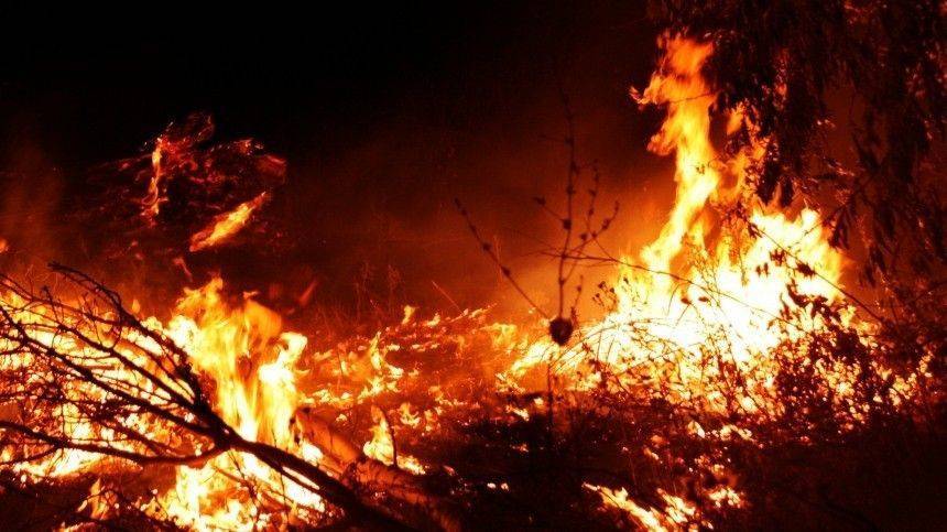 Жители Якутии второй день не видят солнца из-за лесных пожаров