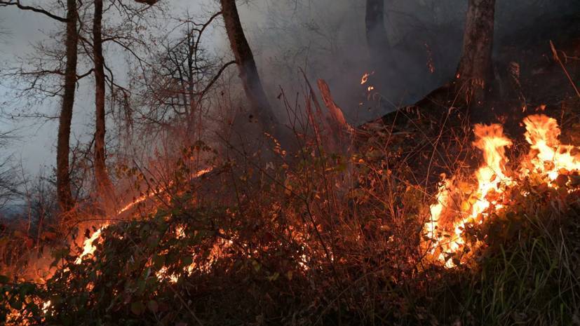Природному пожару в Оренбургской области присвоили третий ранг сложности