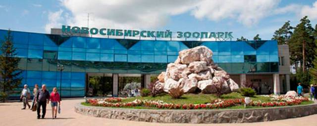 51-летняя женщина внезапно скончалась в Новосибирском зоопарке