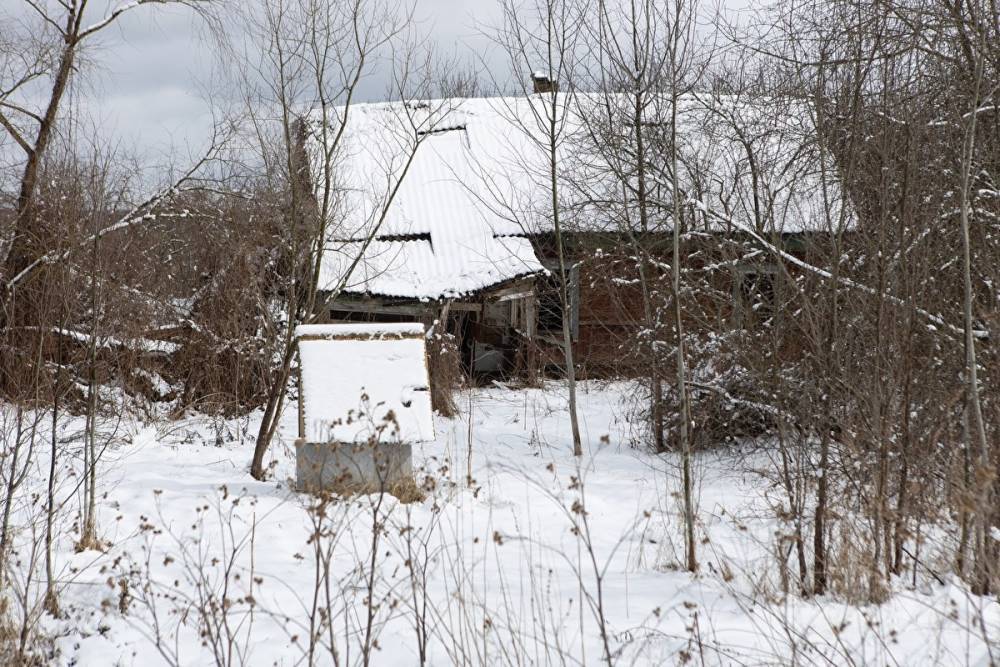 На севере Свердловской области на этой неделе пойдет первый снег