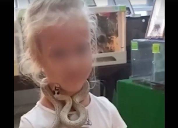 В Екатеринбурге змея из контактного зоопарка укусила пятилетнюю девочку за лицо