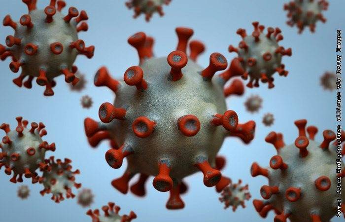 Ученые выяснили, что коронавирус SARS-CoV-2 мутирует раз в неделю
