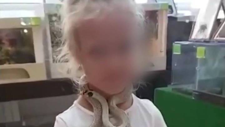 ЧП в контактном зоопарке: змея вцепилась ребенку в щеку