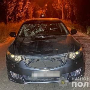 На запорожской Хортице пьяный водитель сбил семейную пару с маленьким ребенком. Фото