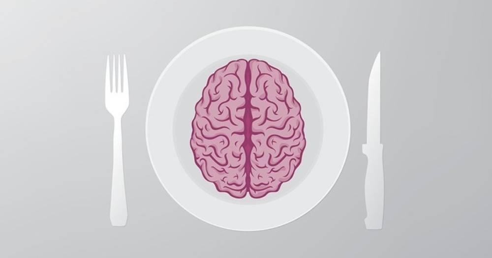 Ученые рассказали, зачем мозг все время сам себя ест