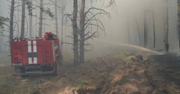 Под Северодонецком опять загорелся лес: в ГСЧС снова заверяют, что тушат его (ФОТО)