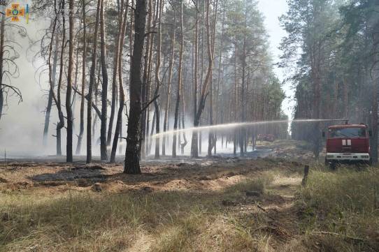 На Луганщине вспыхнул масштабный лесной пожар