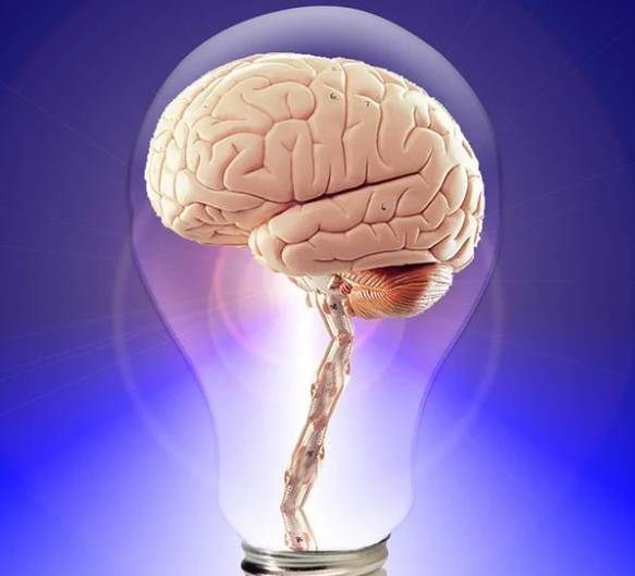 Нейробиолог Бернетт описал процесс самовредительства человеческого мозга