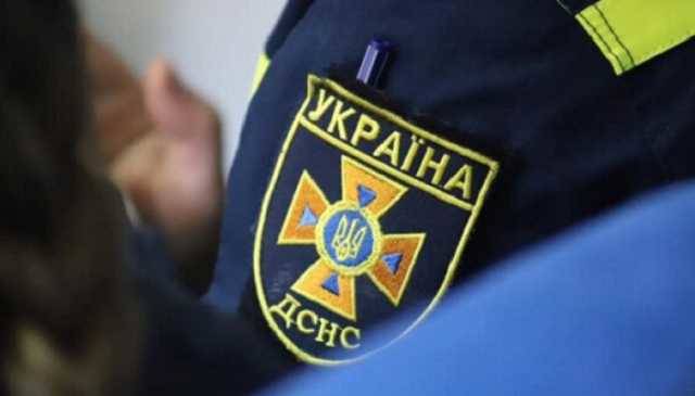 Не могут приступить к тушению: в Киеве дерево упало на электропередаче и загорелось
