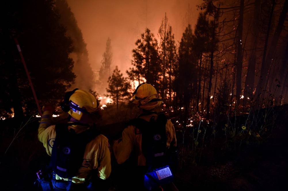 В Калифорнии эвакуировали около 30 тыс. человек из-за лесного пожара