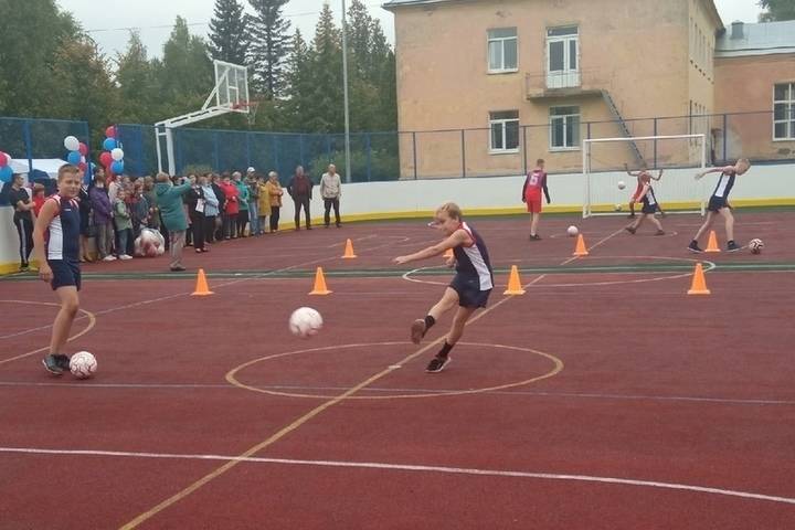 Новую спортплощадку для игры в футбол, баскетбол и хоккей открыли в Волотовском районе