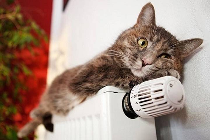В квартиры жителей Мурманска завтра обещают дать отопление