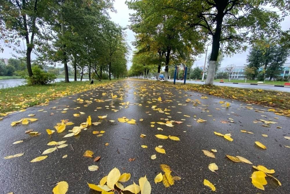 День знаний в Тверской области пройдет под струями дождя