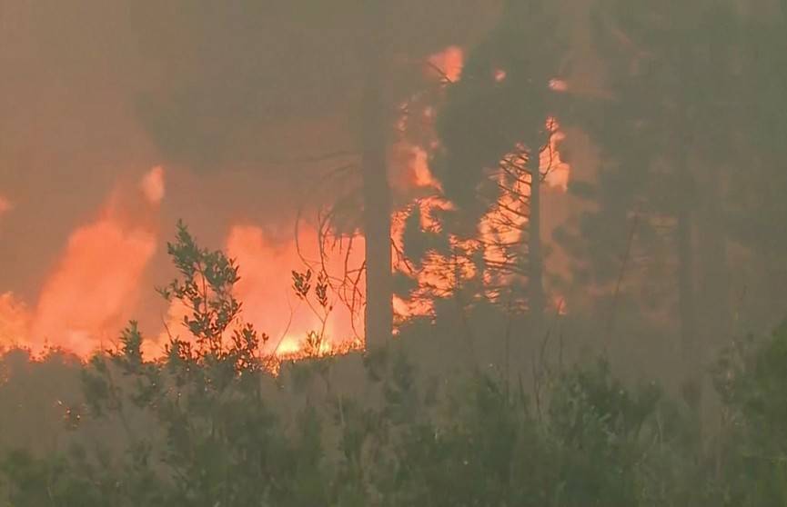 В Калифорнии лесные пожары достигли жилых домов