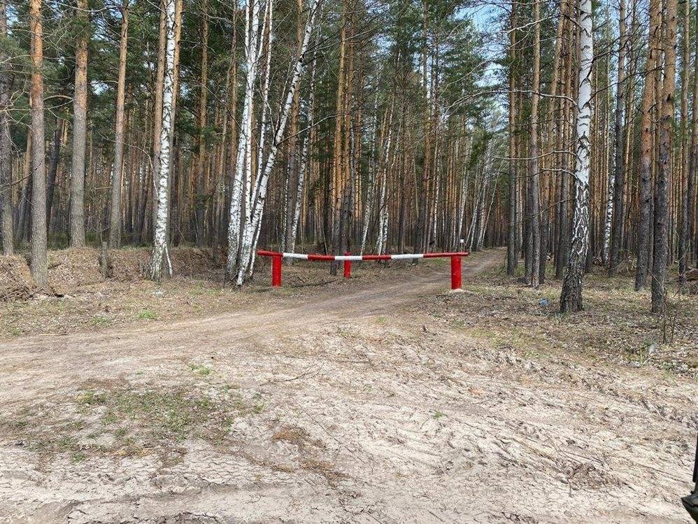 Новые ограничения из-за пожаров. Ульяновцам запретили ходить в лес