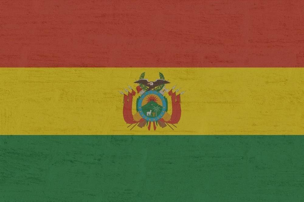 МИД Боливии раскрыл детали телефонной беседы Арсе и Путина