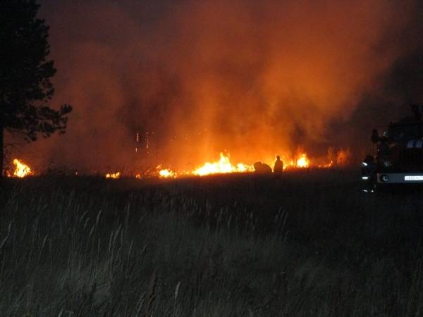 В Оренбурге подготовили пункт эвакуации из-за лесных пожаров