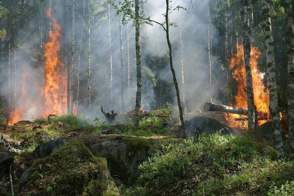 Задымлённость Бурятии несут лесные пожары Якутии и Иркутской области