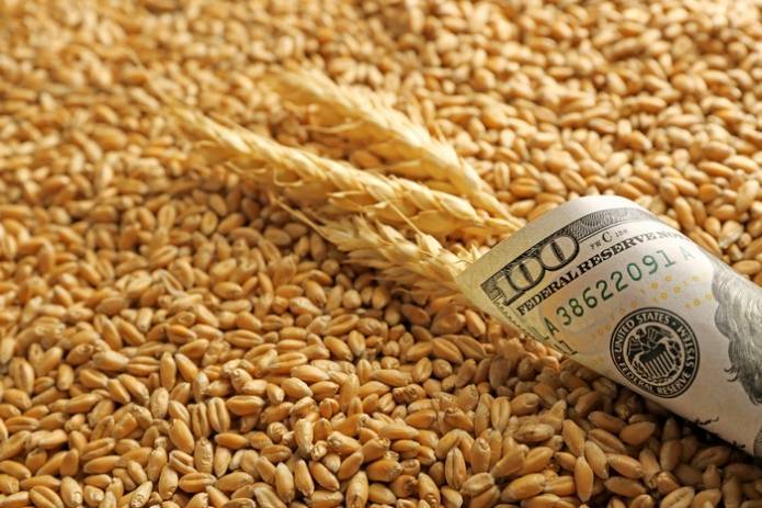 Украина отправила на экспорт первый миллион тонн пшеницы