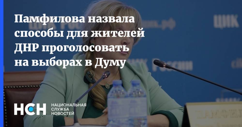 Памфилова назвала способы для жителей ДНР проголосовать на выборах в Думу
